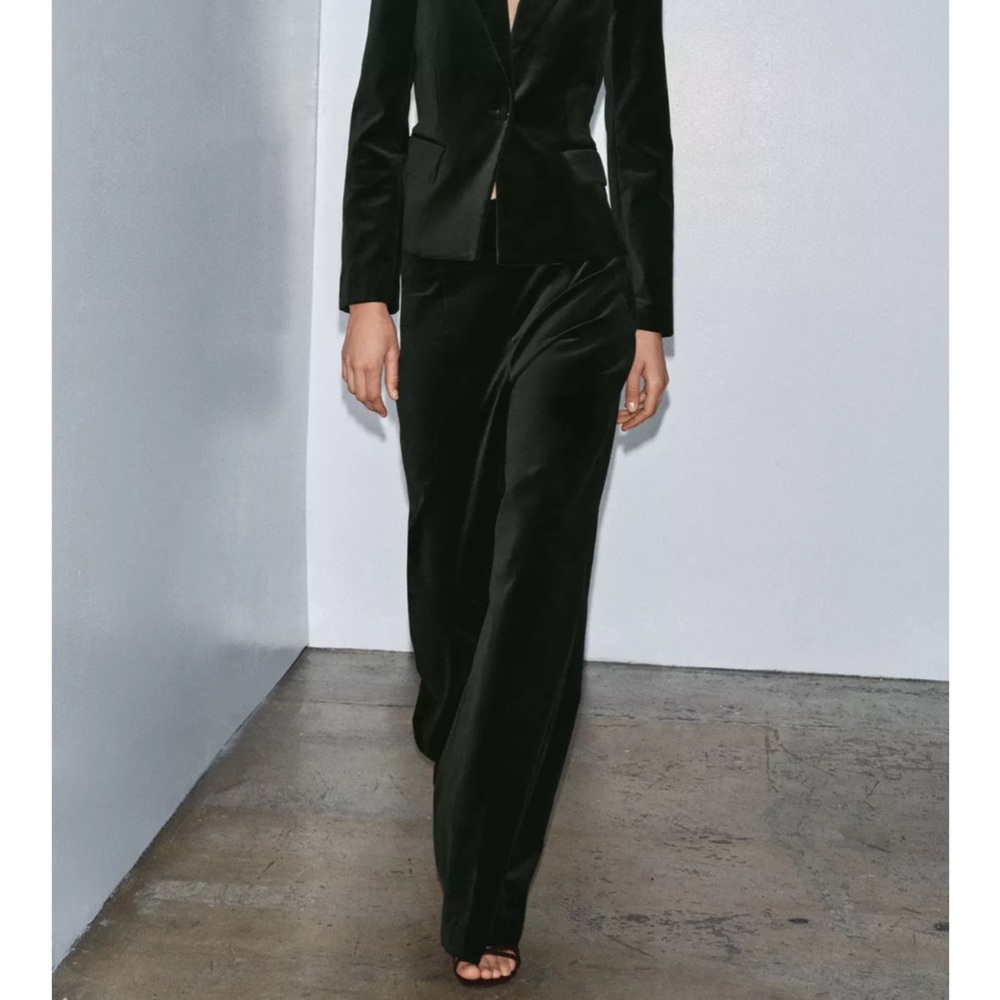 Zara Classic velvet pants